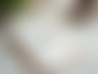 Cultivating an Attitude of Gratitude Every Day: Gratitude Mindset Tips for Busy Lives