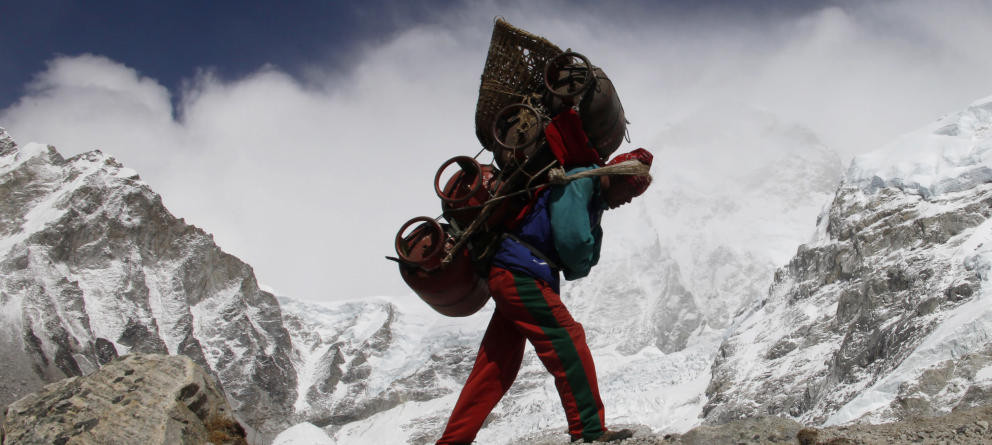 SERVICIO SHERPA 24H Ó +24H