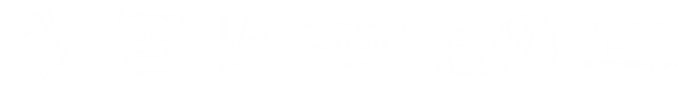 לילבאדז Lilbudz טרפנים.png