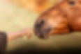 643A7738-2_edited.jpg
