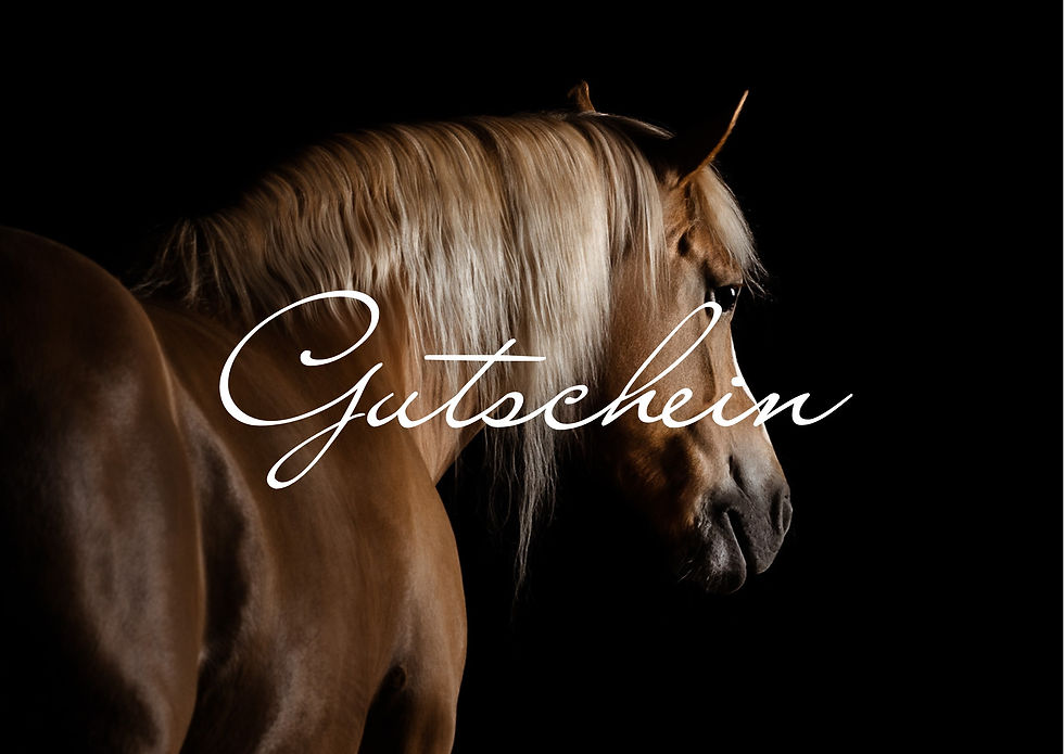 Miniaturbild: Gutscheine