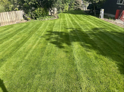 Lawn Mowing