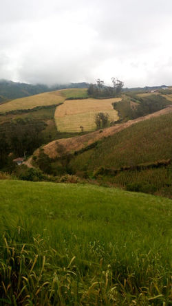 WhatsApp Image 2020-10-05 at 8.38