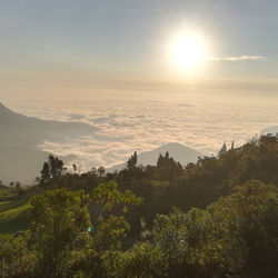 WhatsApp Image 2020-10-05 at 8.05.17 PM.