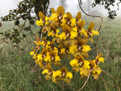 WhatsApp Image 2020-10-03 at 3.12.07 PM.