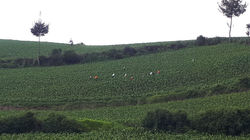 WhatsApp Image 2020-10-05 at 8.38.03 PM.