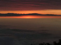 WhatsApp Image 2020-10-05 at 6.34