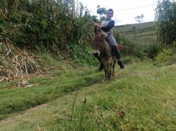 WhatsApp Image 2020-10-05 at 8.38.28 PM.