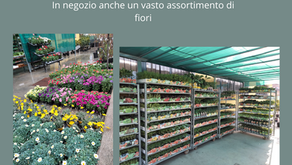 Inizia la stagione delle semine e delle piantine da orto