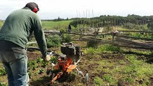 I lavori nell'orto a MARZO