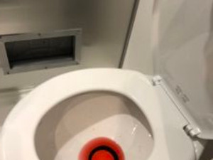 Toilet with RV antifreeze