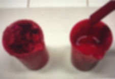 IMG_7238.jpeg