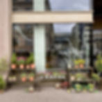 Vitrine de printemps La Petite Fleuriste