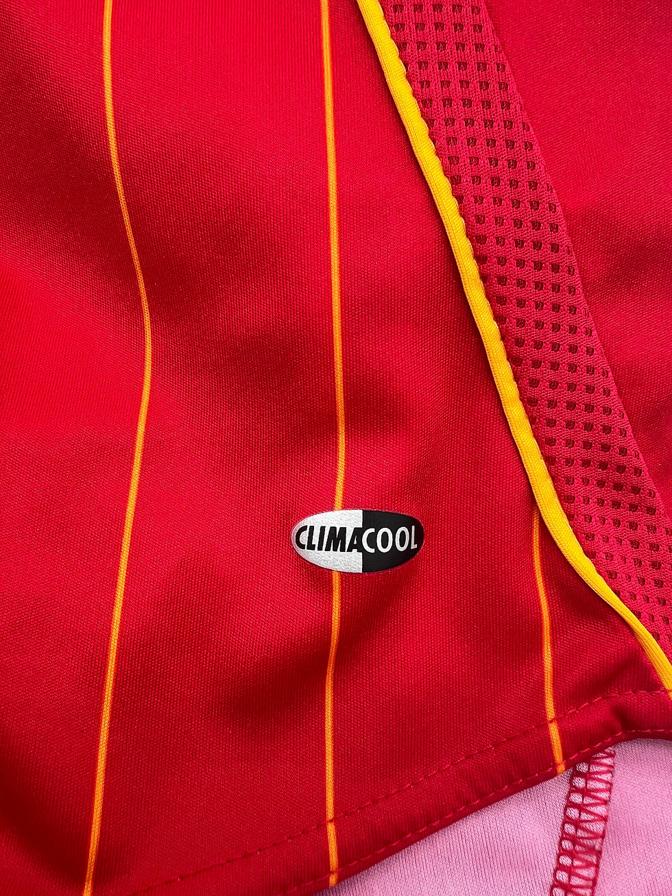 Thumbnail: torres Spain 2006 home jersey m Tag View