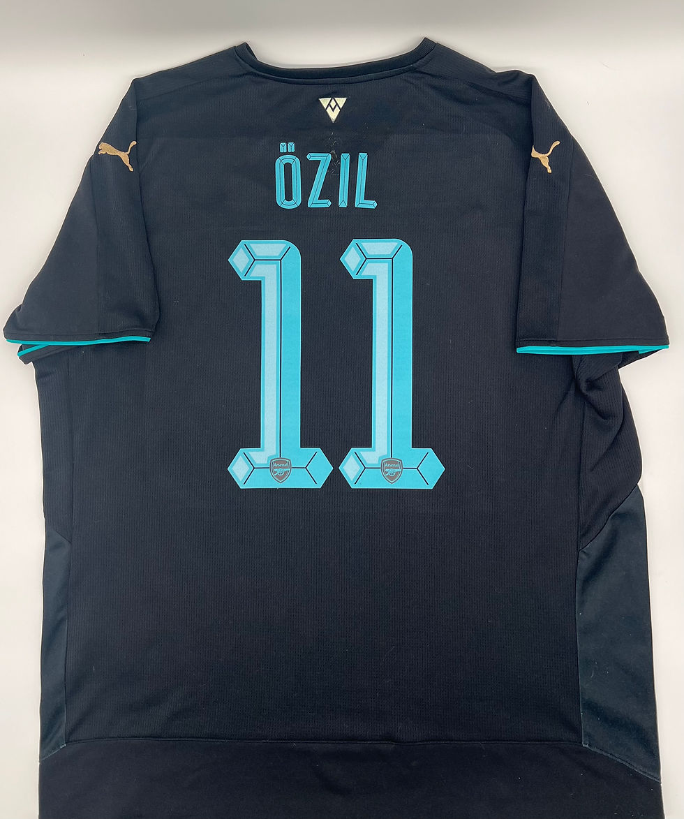 ozil arsenal 2015 jersey back view