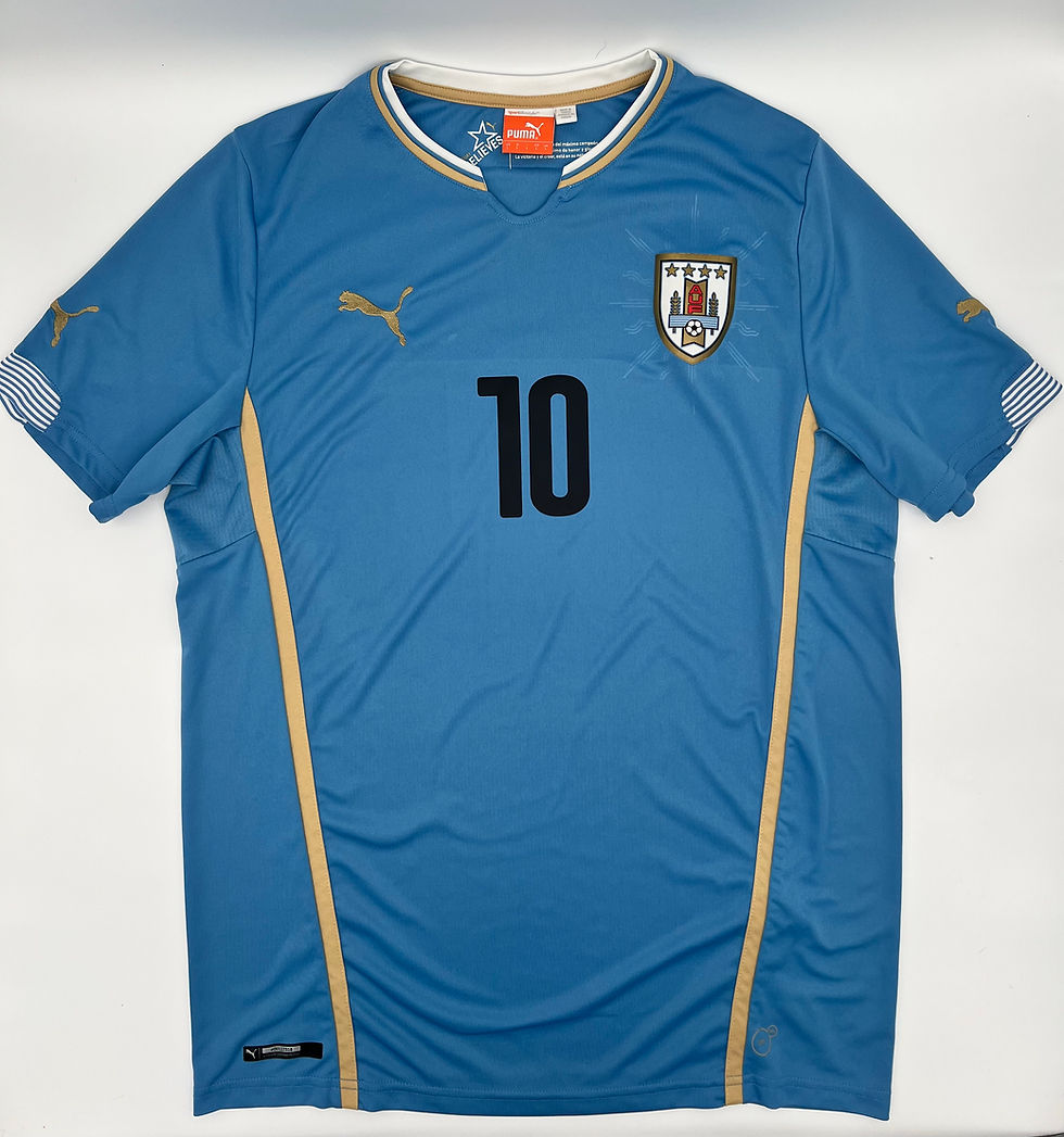 Forlan Uruguay 2014 Home Jersey L Front View
