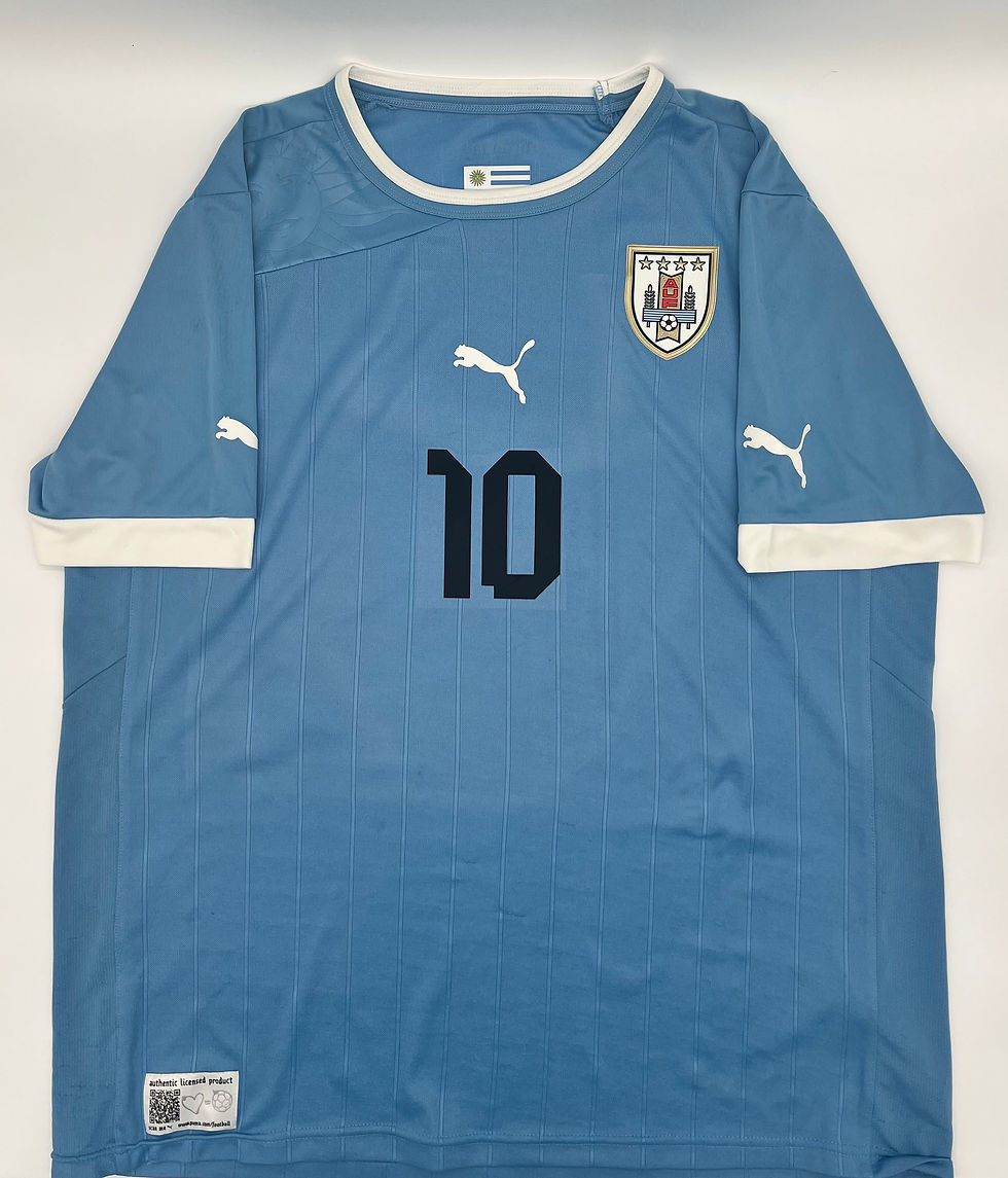 Thumbnail: Forlan uruguay 2010 jersey xxl Front View