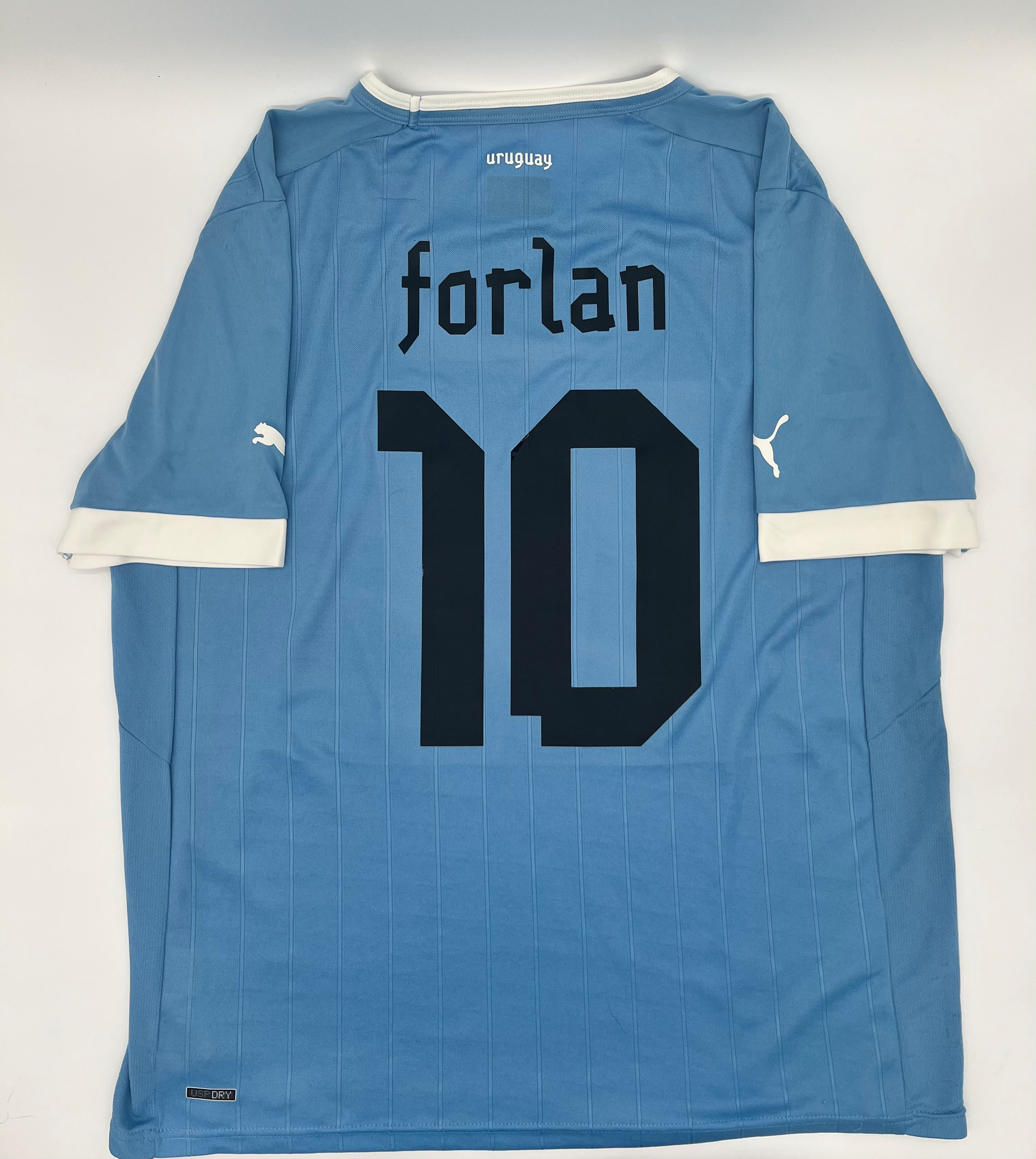 Forlan uruguay 2010 jersey xxl Back View