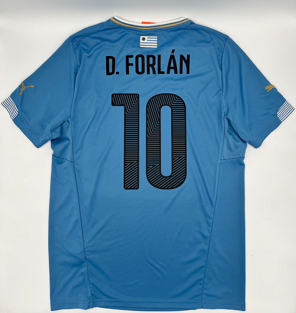 Forlan Uruguay 2014 Home Jersey L Back View