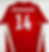 Poland 2008/2009 Away Lewandowski #14 Soccer Jersey (XL) Back View