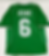 Ireland 2001/2002/2003 Home Roy Keane #6 Soccer Jersey (L) Back View
