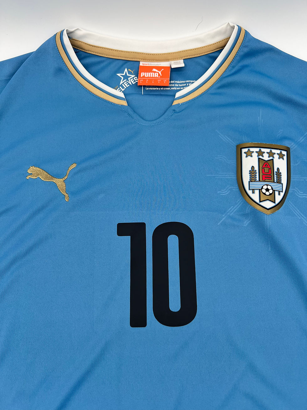 Thumbnail: Forlan Uruguay 2014 Home Jersey L Front Close Up View