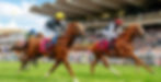 Goodwood