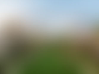 Breeders Cup 2024 - Del Mar