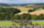 Goodwood