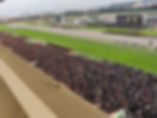 Japan Cup