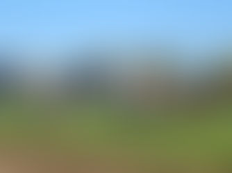 The Velká Pardubická: Our trip to Europe's maddest race