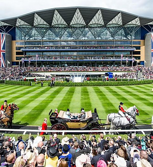 ascot.jpeg