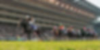 Japan Cup