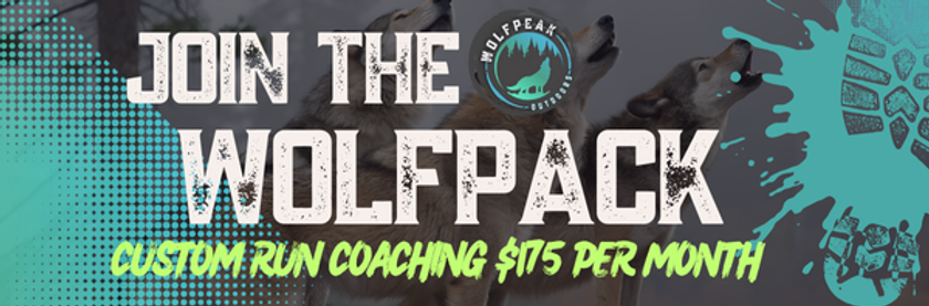 wpo coaching banner.png