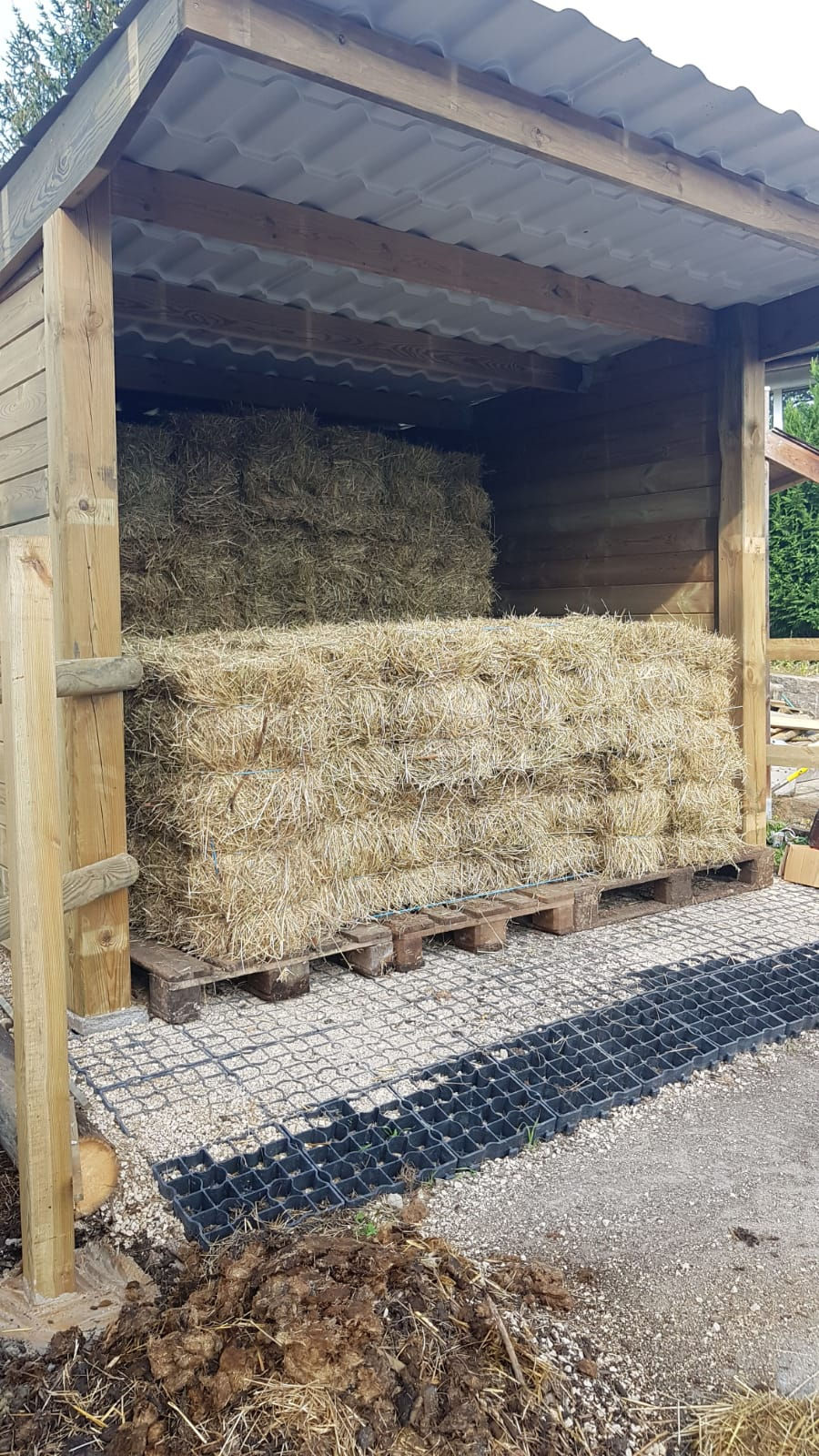 Abri 300 x 300 x 230/250cm