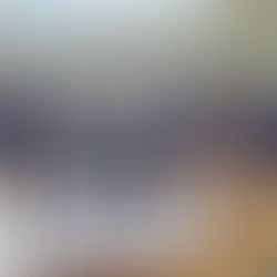 Minifalken werden Vizemeister