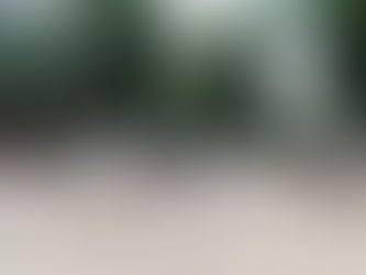 Saisonabschluss der Jugendteams im Waldbad
