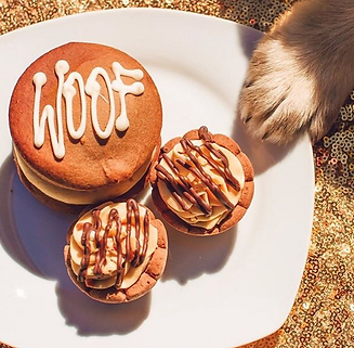 ced99c_6e9f425207144ee5bce0a62a84e61308_