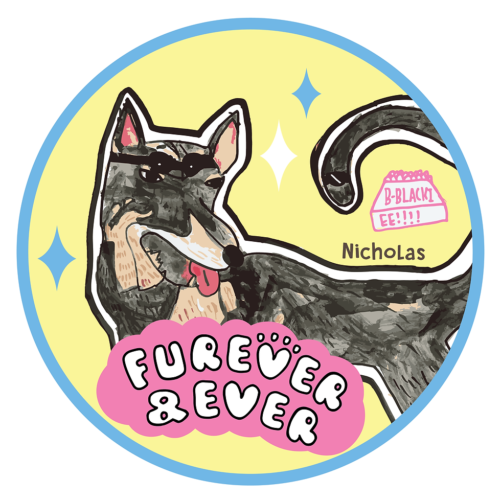 Popsocket_04-06