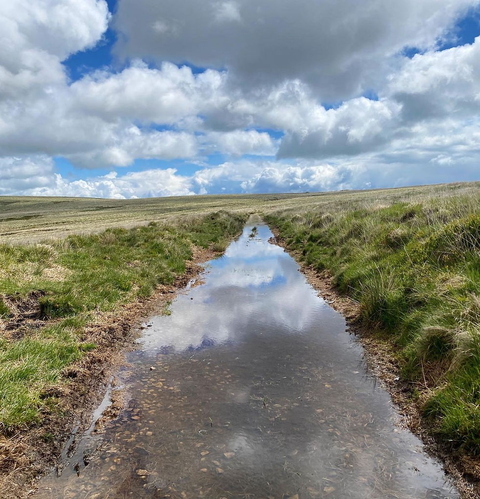 Water on path on Dartmoor for Two Moors Way