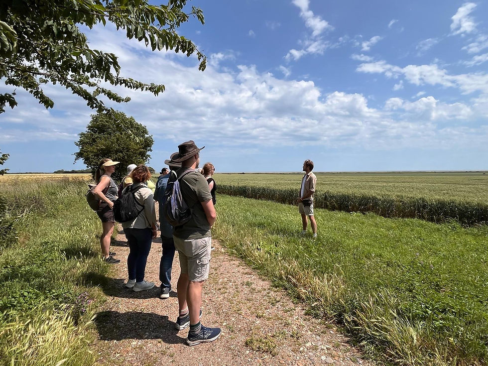 GREAT LEIGHS: STORY WALK