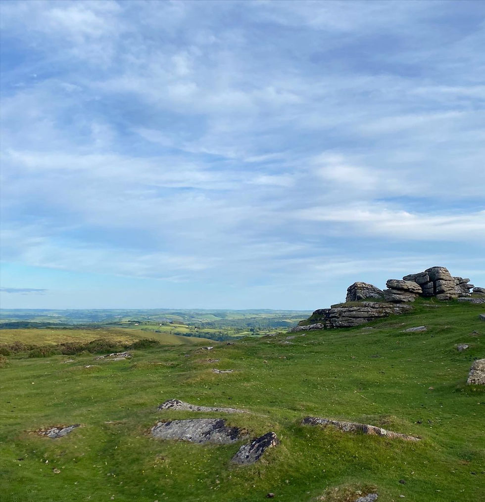 Mel Tor, Dartmoor