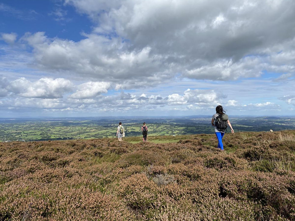 Views from Hatterall Ridge