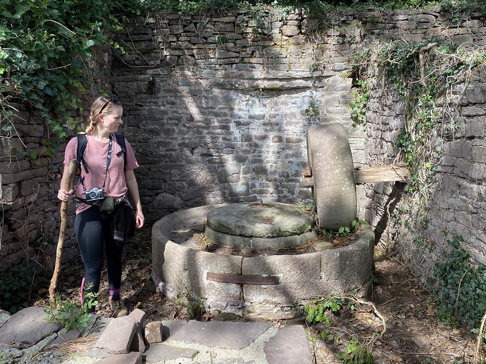 Old milling stone