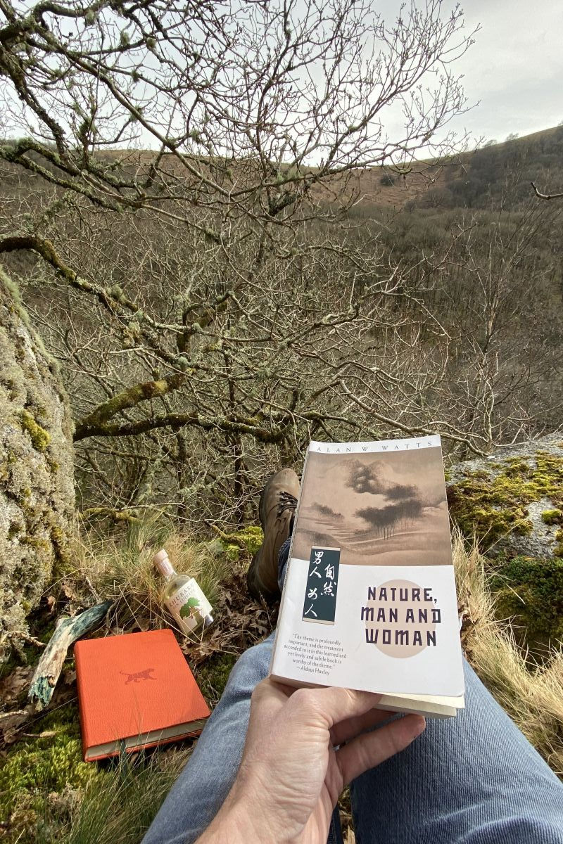 Reading on Dartmoor