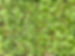 FullSizeRender(12)-compressed.jpg