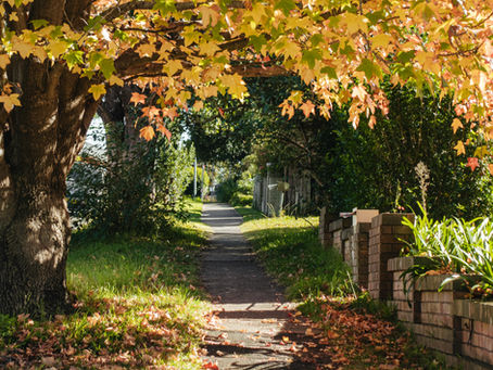 Your Half Cup of Coffee