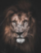 ree