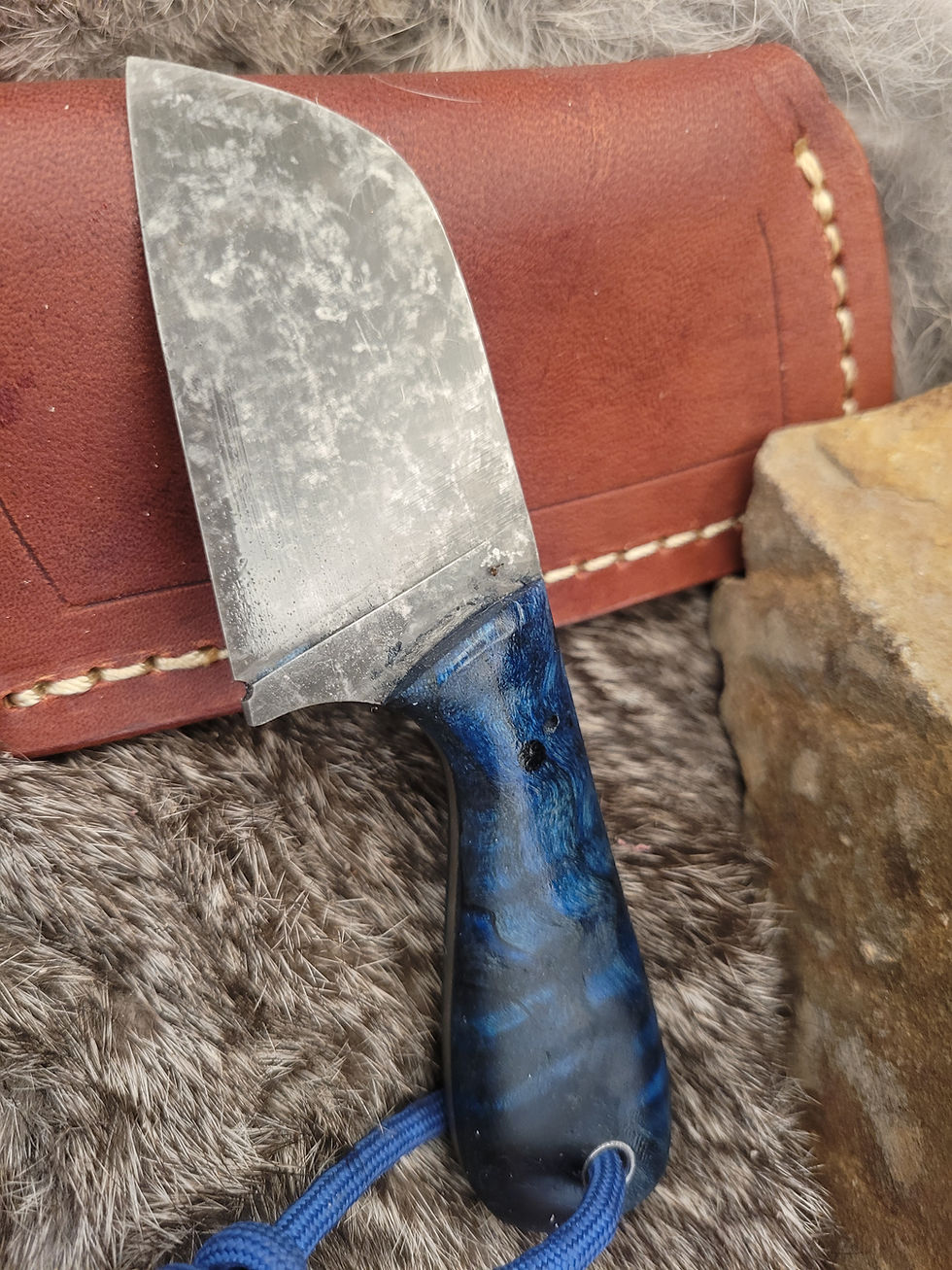 Thumbnail: Piranha 2.0- Stabilized Blue Curly Maple