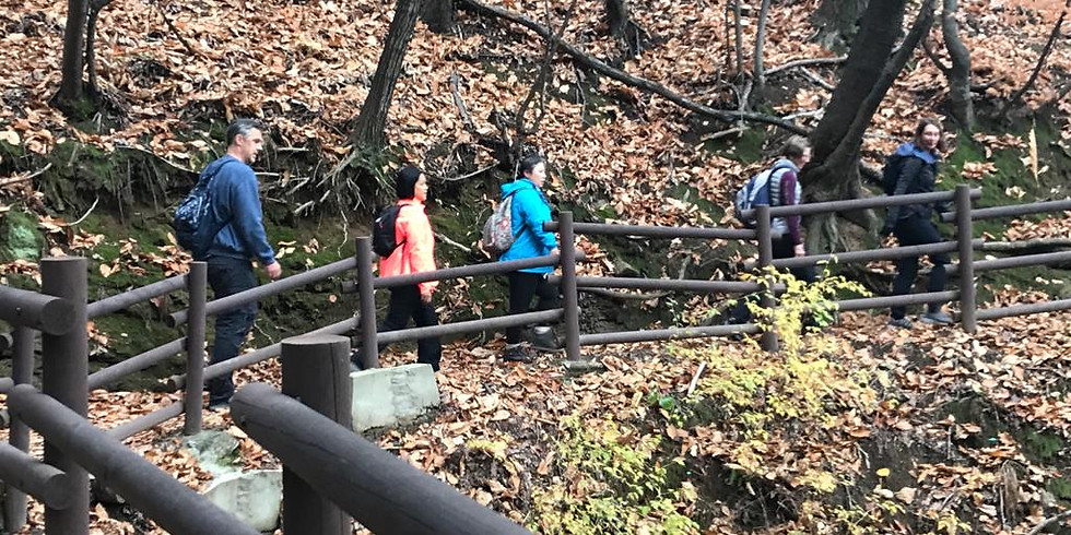 WALKIE TALKIE HIKE, Wed 18 Nov, Namsan Park